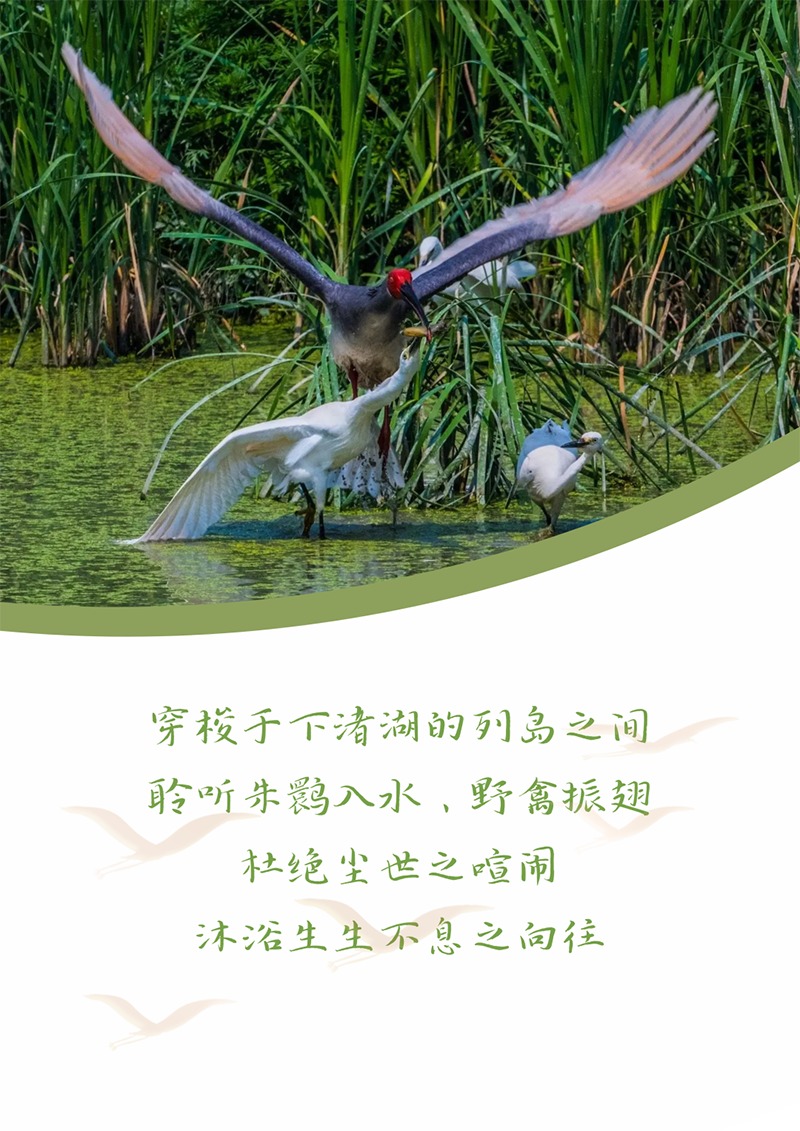 心心念廿 相伴EMC易倍体育 | 与德清相约 贺廿载诞辰